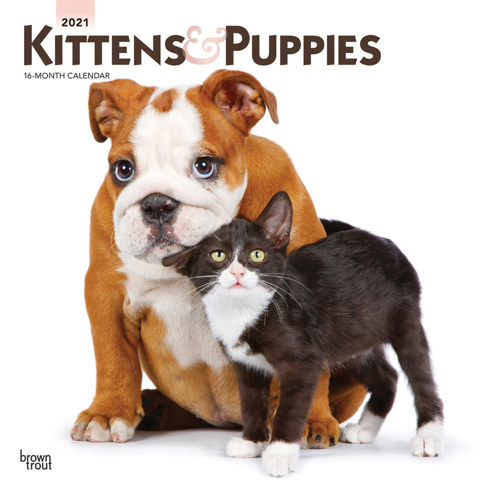 2021 Kittens and Puppies Wall Calendar - Calendars - 2021 Calendar
