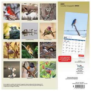 2021 Birds Wall Calendar - Calendars - 2021 Calendar