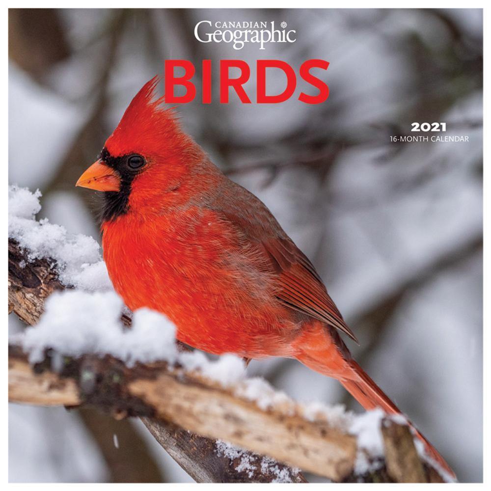 2021 Birds Wall Calendar - Calendars - 2021 Calendar