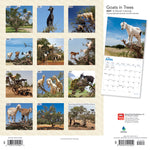 Load image into Gallery viewer, 2021 Goats in Trees Wall Calendar - Calendars - 2021 Calendar
