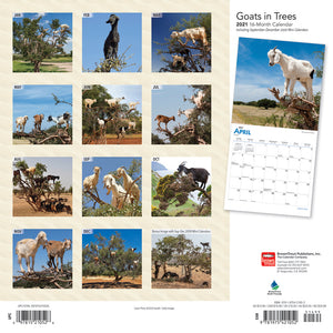 2021 Goats in Trees Wall Calendar - Calendars - 2021 Calendar