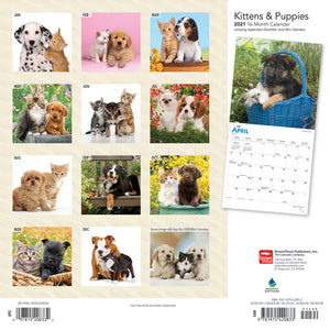 2021 Kittens and Puppies Wall Calendar - Calendars - 2021 Calendar