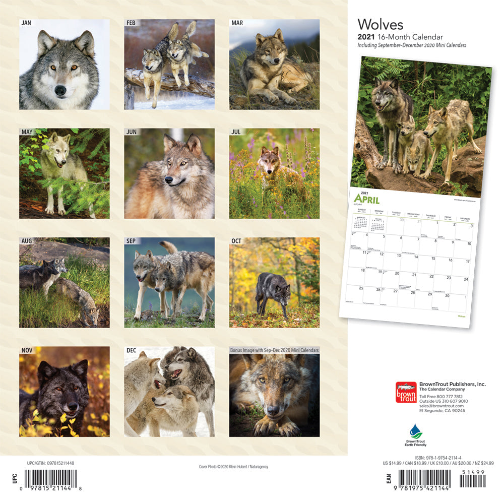 2021 Wolves Wall Calendar - Calendars - 2021 Calendar